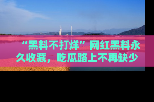 “黑料不打烊”网红黑料永久收藏，吃瓜路上不再缺少惊喜与乐趣