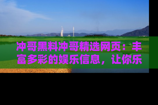 冲哥黑料冲哥精选网页：丰富多彩的娱乐信息，让你乐不停息