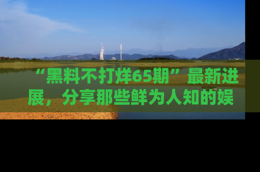 “黑料不打烊65期”最新进展，分享那些鲜为人知的娱乐八卦