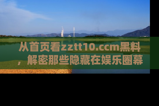 从首页看zztt10.ccm黑料，解密那些隐藏在娱乐圈幕后的丑闻故事！