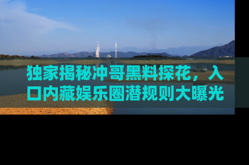 独家揭秘冲哥黑料探花，入口内藏娱乐圈潜规则大曝光