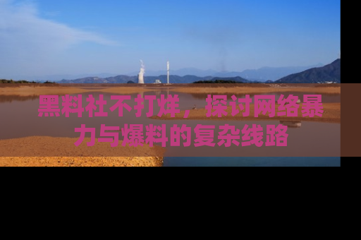 黑料社不打烊，探讨网络暴力与爆料的复杂线路