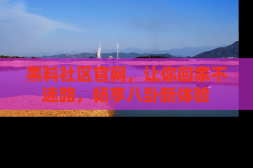 黑料社区官网，让你回家不迷路，畅享八卦新体验