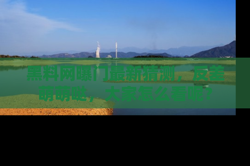 黑料网曝门最新猜测，反差萌萌哒，大家怎么看呢？