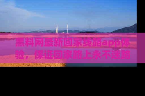 黑料网最新回家线路app体验，保证回家路上永不迷路顺畅