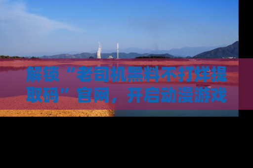 解锁“老司机黑料不打烊提取码”官网，开启动漫游戏的新次元之旅！