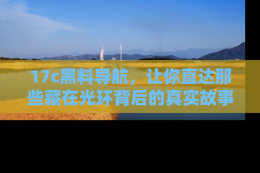 17c黑料导航,让你直达那些藏在光环背后的真实故事