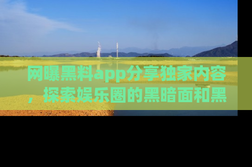 网曝黑料app分享独家内容，探索娱乐圈的黑暗面和黑料