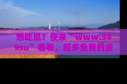 想吃瓜？快来“www.399su”看看，超多免费的资源让你尽情享受！
