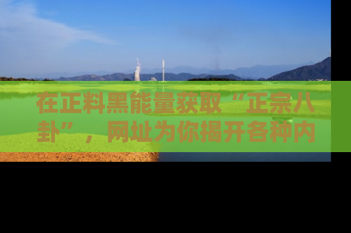 在正料黑能量获取“正宗八卦”，网址为你揭开各种内幕故事！