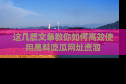 这几篇文章教你如何高效使用黑料吃瓜网址资源