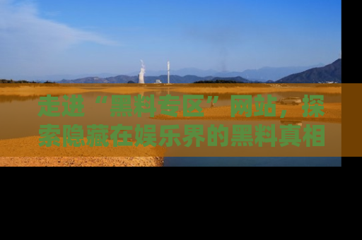 走进“黑料专区”网站，探索隐藏在娱乐界的黑料真相
