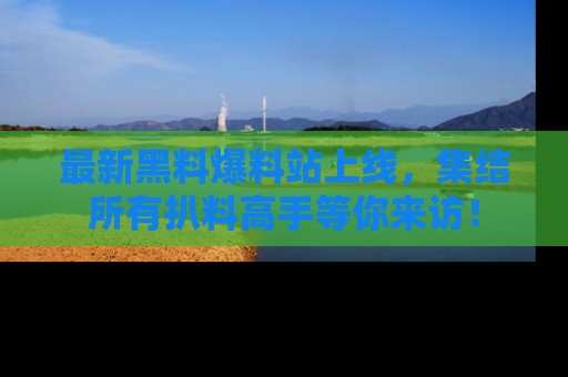 最新黑料爆料站上线，集结所有扒料高手等你来访！